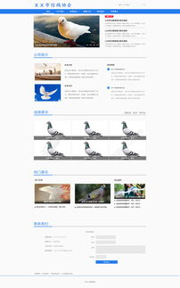 信鴿協會網頁設計模板免費下載——千圖網27604300號資源詳解